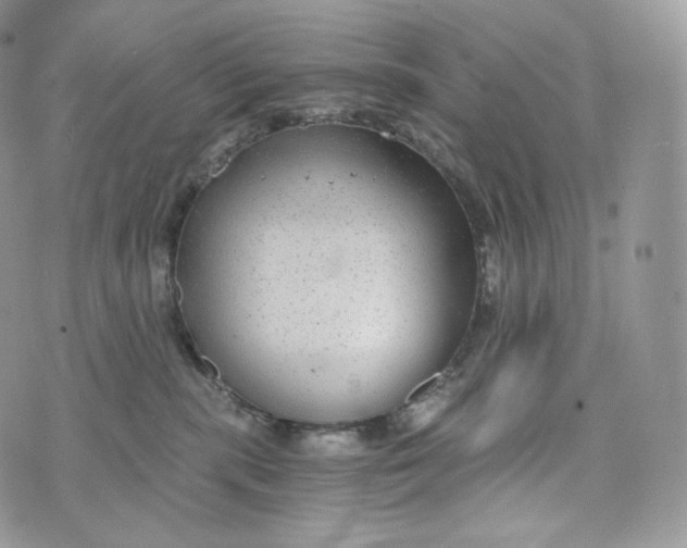 X0000072960283200608111658