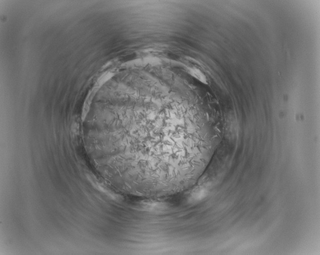 X0000072960284200608111658