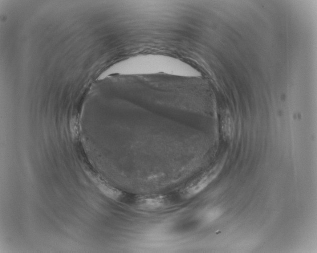 X0000072960285200608111658