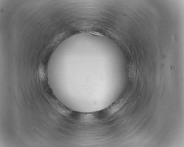 X0000072960287200608111658