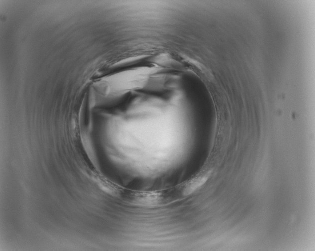 X0000072960288200608111658