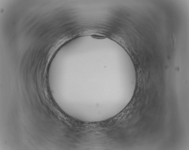 X0000072960289200608111658