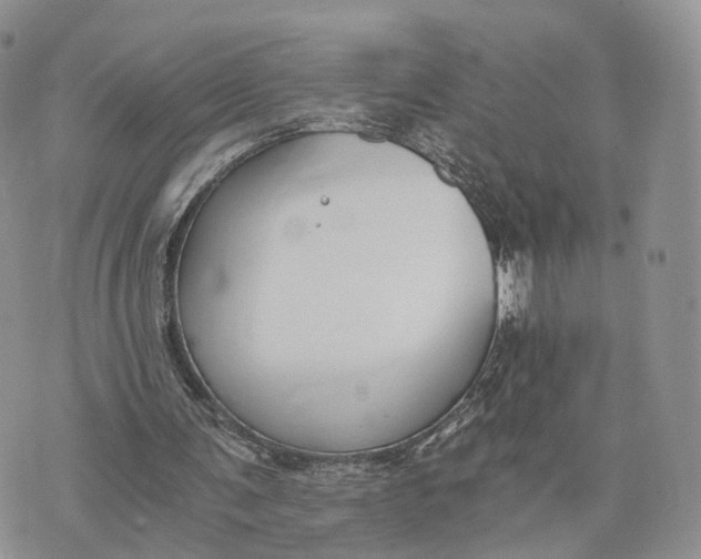 X0000072960291200608111658