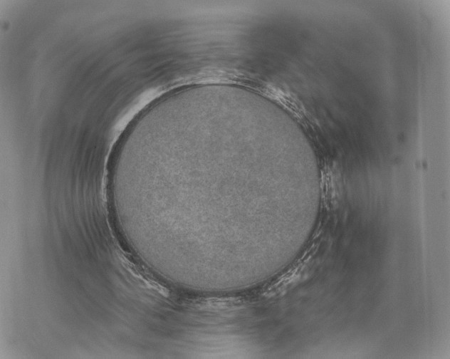 X0000072960292200608111658