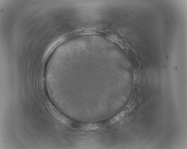 X0000072960293200608111658