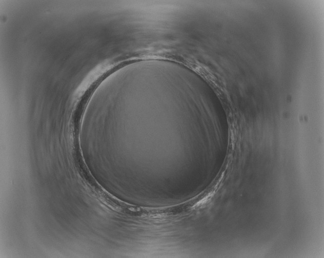 X0000072960295200608111658