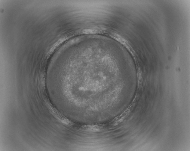 X0000072960297200608111658