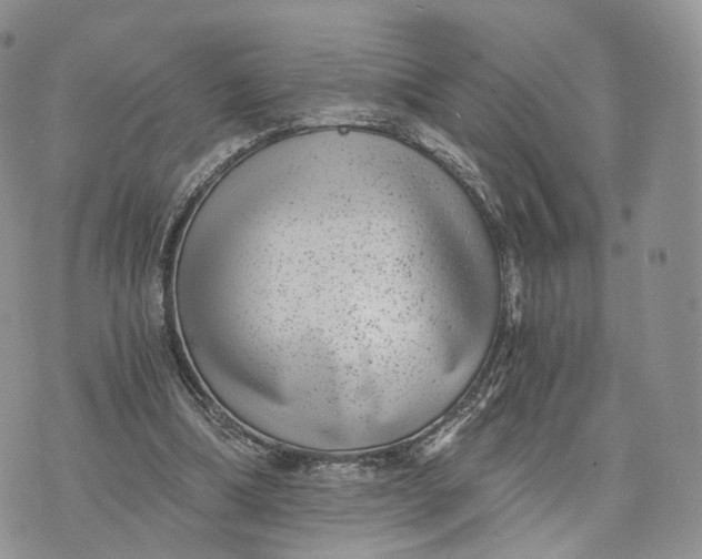 X0000072960298200608111658