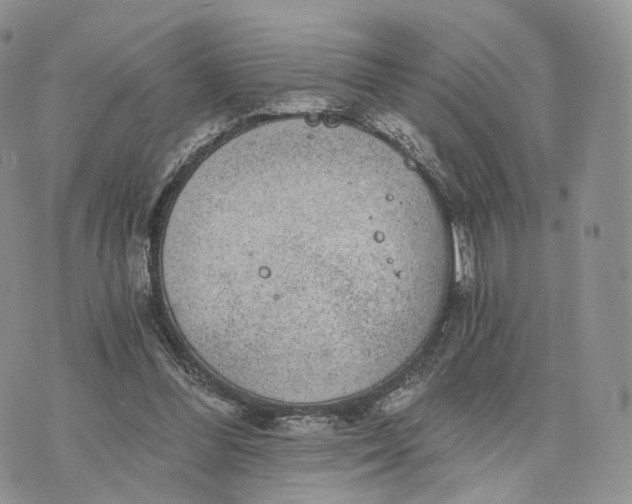 X0000072960300200608111658