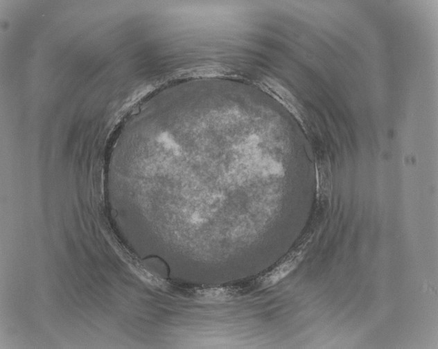 X0000072960301200608111657