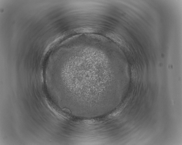 X0000072960302200608111657