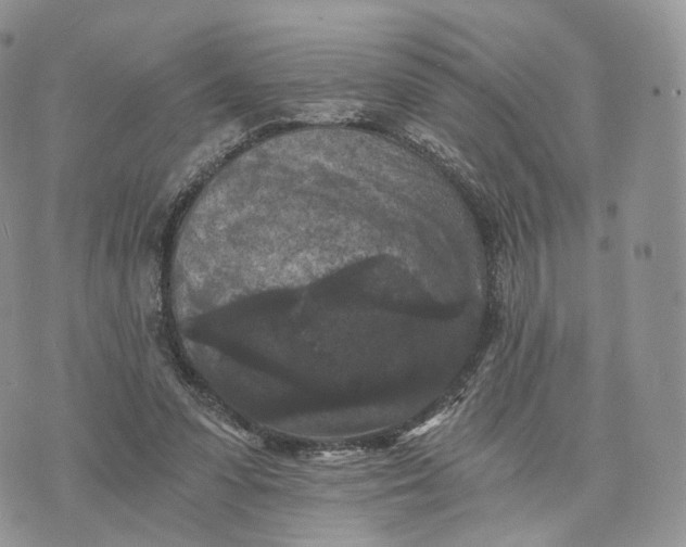 X0000072960303200608111657