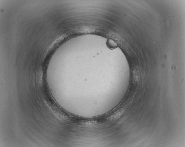 X0000072960304200608111657