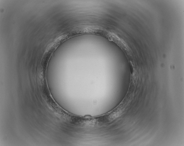 X0000072960306200608111657