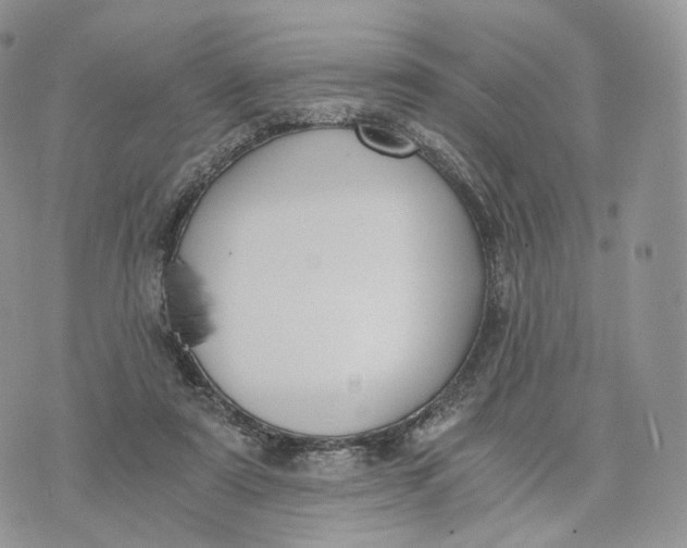 X0000072960307200608111657