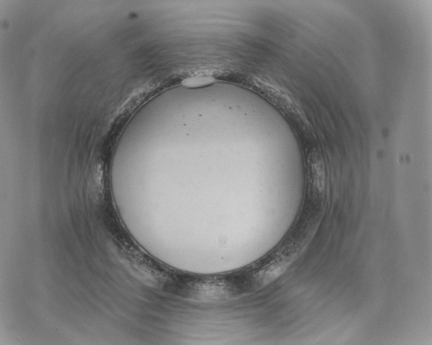 X0000072960308200608111657