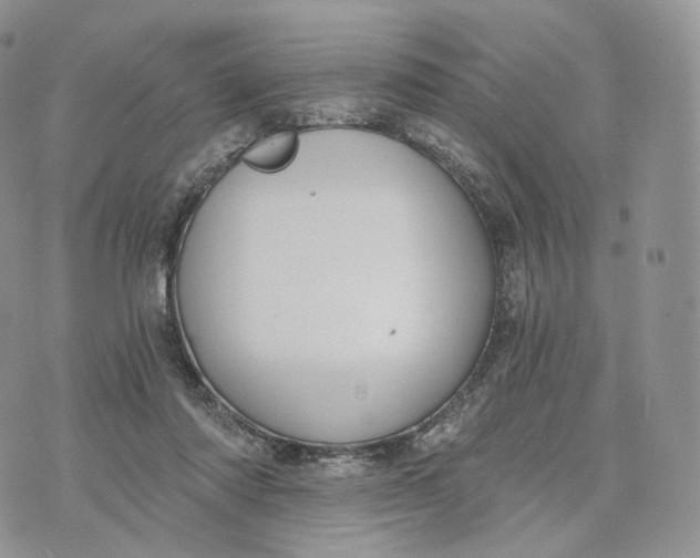 X0000072960310200608111657