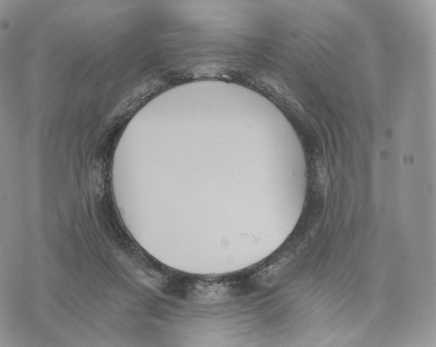 X0000072960311200608111657