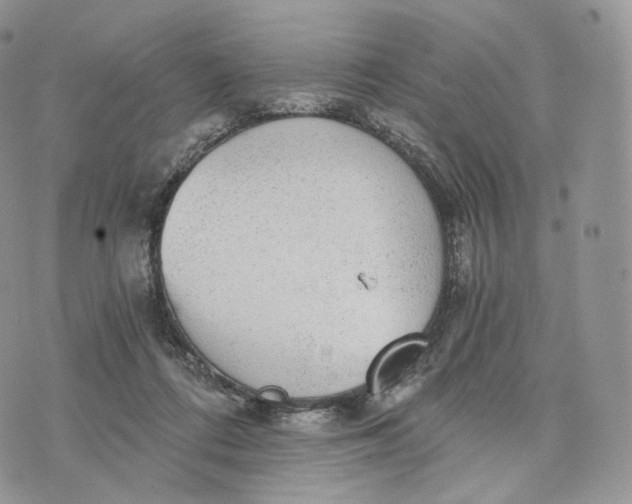 X0000072960312200608111657