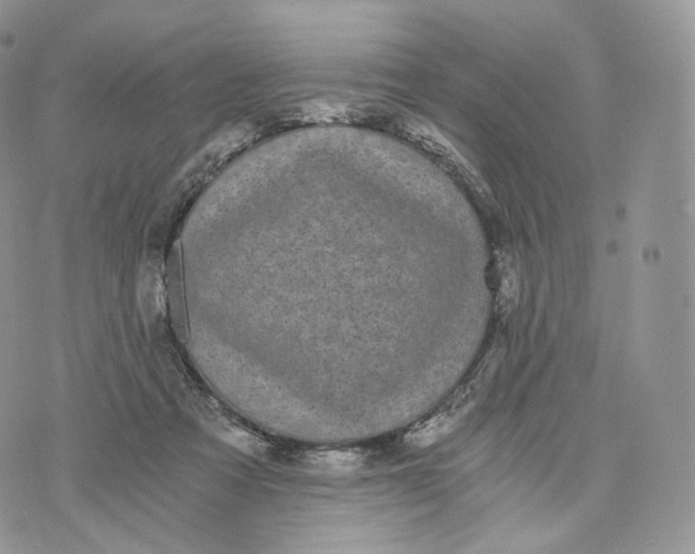 X0000072960313200608111657