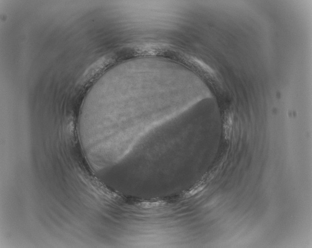 X0000072960314200608111657