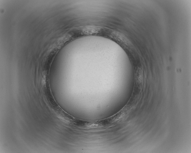 X0000072960315200608111657