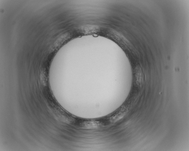 X0000072960316200608111657