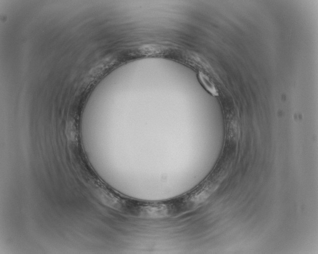 X0000072960317200608111657