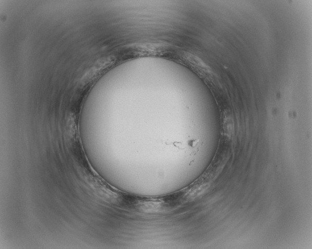 X0000072960318200608111657