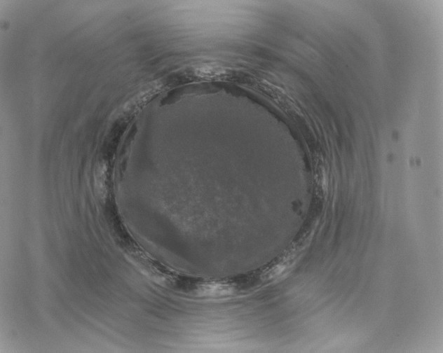 X0000072960319200608111657