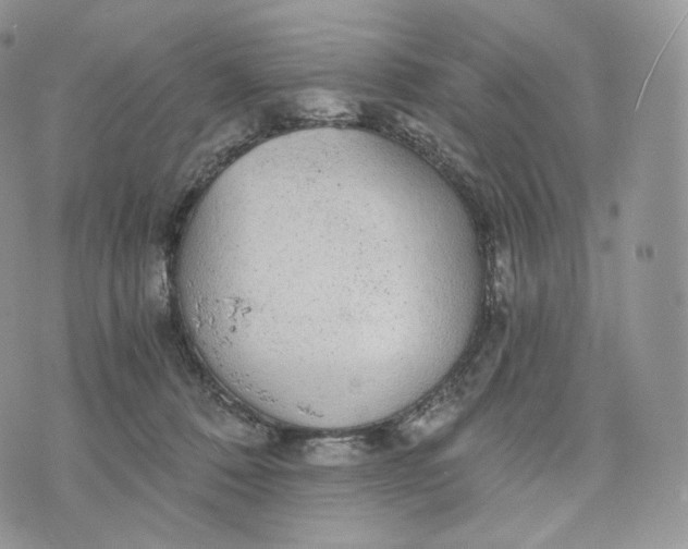 X0000072960320200608111657