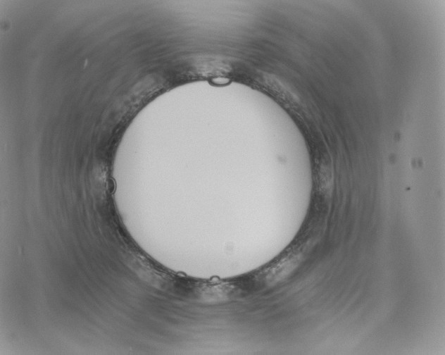 X0000072960321200608111657