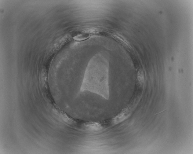 X0000072960322200608111657