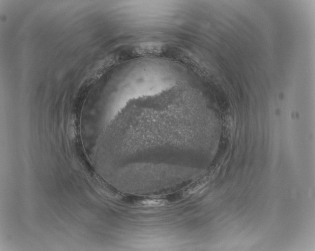 X0000072960323200608111657