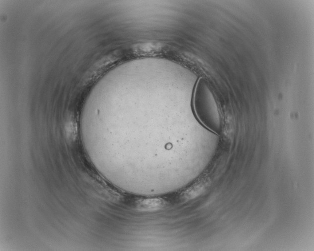 X0000072960324200608111657