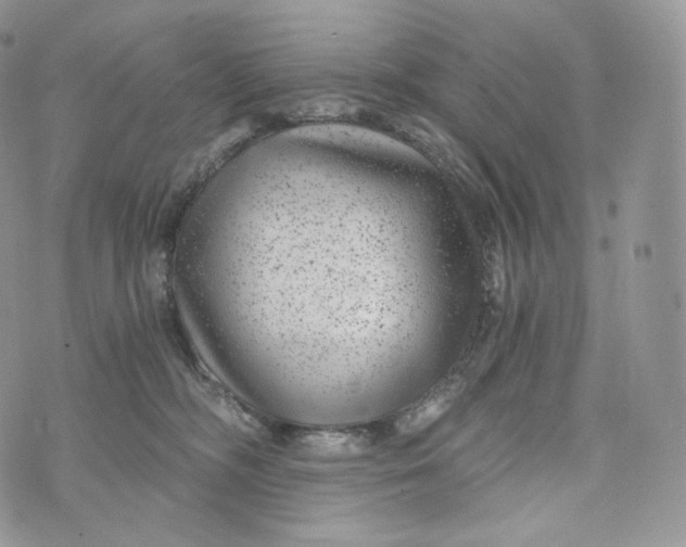 X0000072960326200608111657