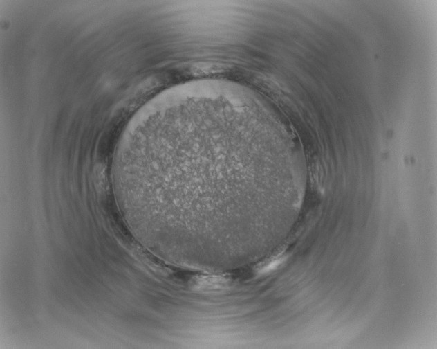 X0000072960327200608111657