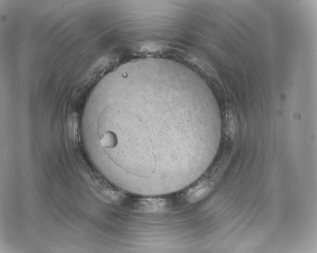 X0000072960328200608111657