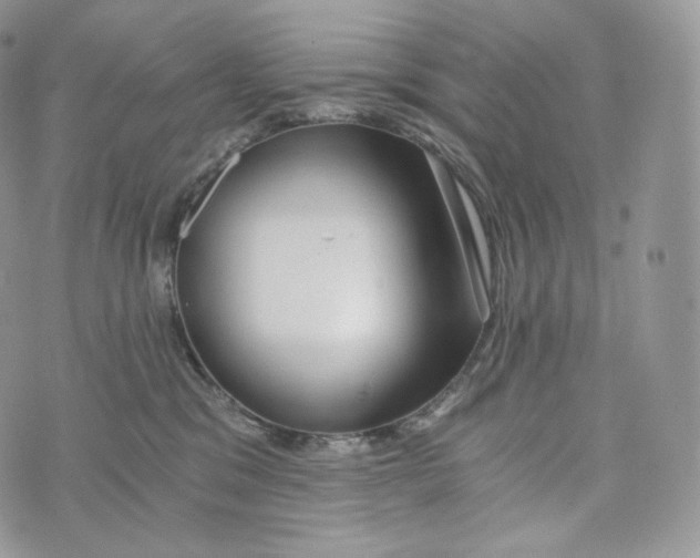 X0000072960329200608111657