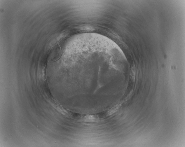 X0000072960330200608111657