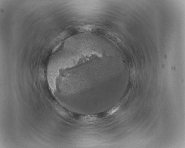 X0000072960331200608111657