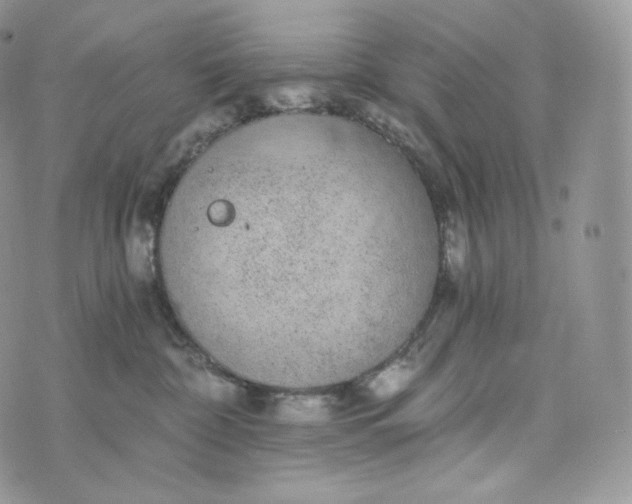 X0000072960332200608111657