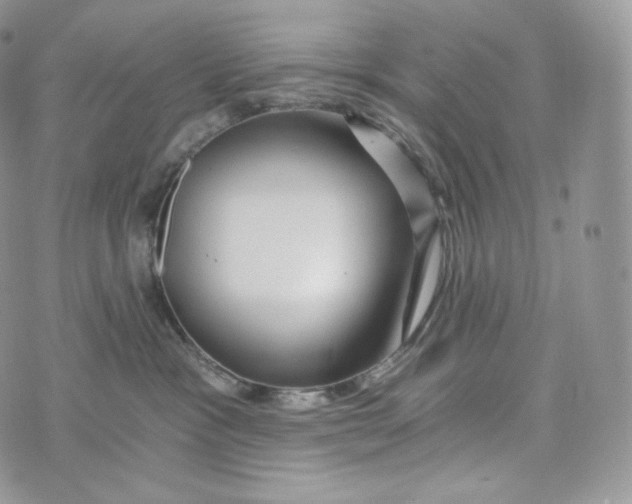 X0000072960333200608111657