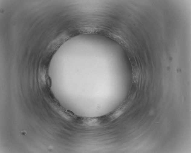 X0000072960334200608111657