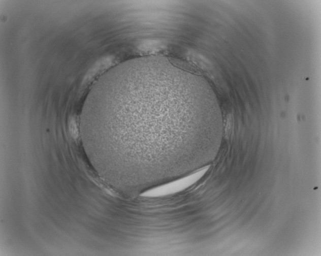 X0000072960335200608111657