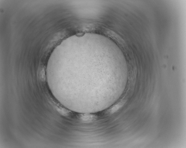 X0000072960336200608111657