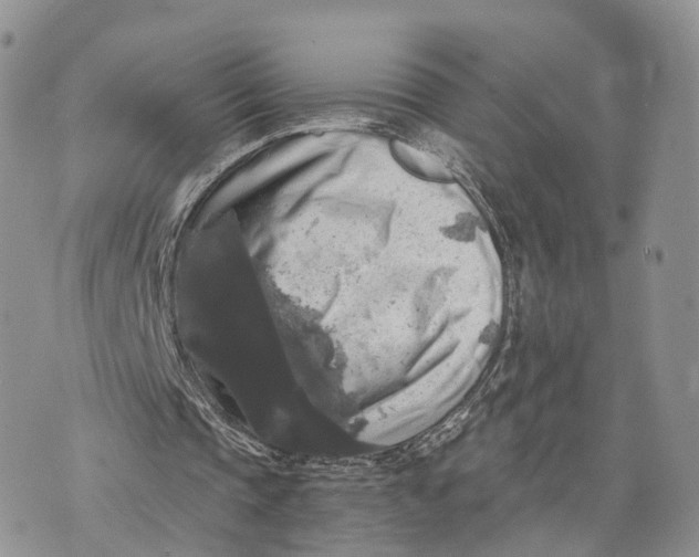 X0000072960337200608111656