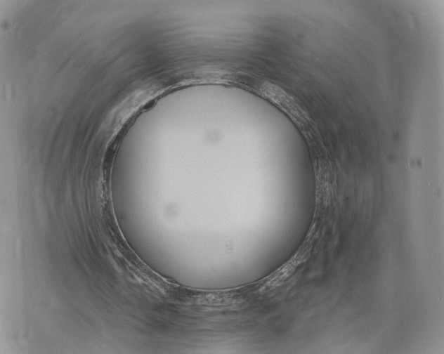 X0000072960338200608111656