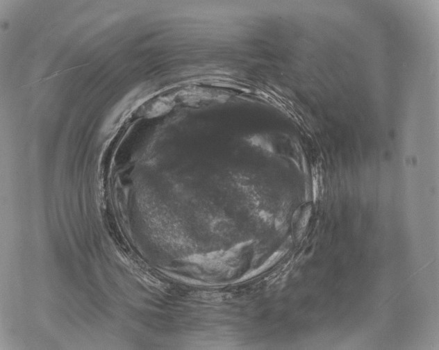 X0000072960339200608111656