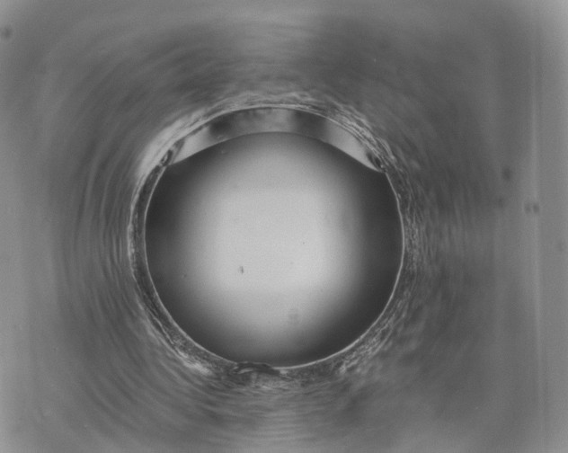 X0000072960340200608111656